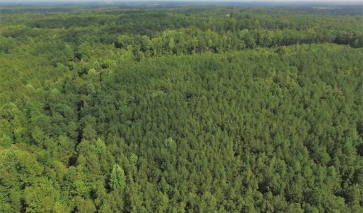 Photo of UNDER CONTRACT!  33.75 Acres of Hunting and Recreational Land For Sale in Brunswick County VA!