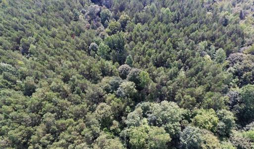 Photo of UNDER CONTRACT!  33.75 Acres of Hunting and Recreational Land For Sale in Brunswick County VA!
