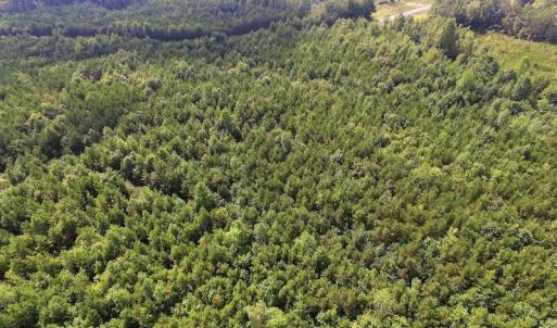 Photo of UNDER CONTRACT!  33.75 Acres of Hunting and Recreational Land For Sale in Brunswick County VA!