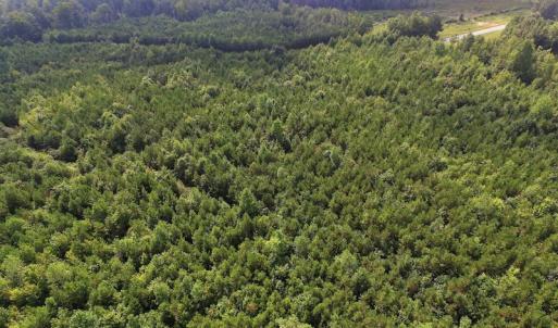 Photo of UNDER CONTRACT!  33.75 Acres of Hunting and Recreational Land For Sale in Brunswick County VA!