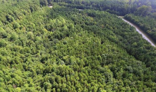 Photo of UNDER CONTRACT!  33.75 Acres of Hunting and Recreational Land For Sale in Brunswick County VA!