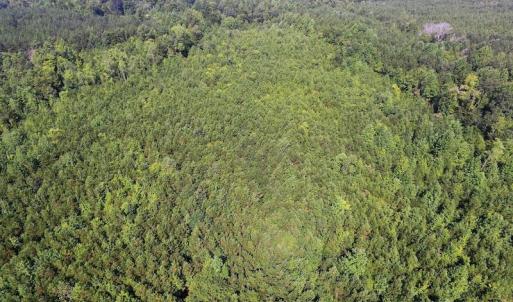 Photo of UNDER CONTRACT!  33.75 Acres of Hunting and Recreational Land For Sale in Brunswick County VA!