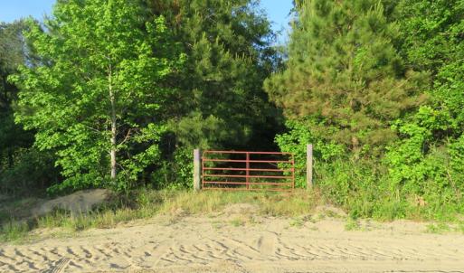 Photo of UNDER CONTRACT!  65 Acres of Hunting Land For Sale in Robeson County NC!