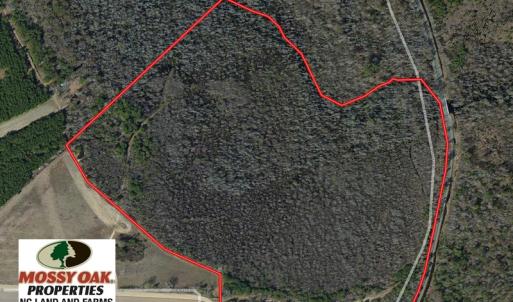 Photo of UNDER CONTRACT!  65 Acres of Hunting Land For Sale in Robeson County NC!