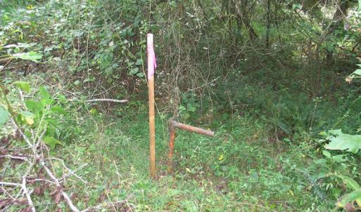 Photo of SOLD!  30.30 Acres of  Farm Land For Sale in Alamance County NC!