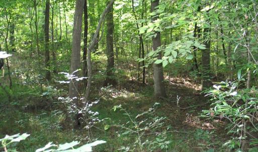 Photo of SOLD!  30.30 Acres of  Farm Land For Sale in Alamance County NC!