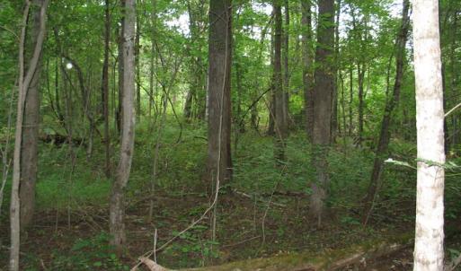 Photo of SOLD!  30.30 Acres of  Farm Land For Sale in Alamance County NC!
