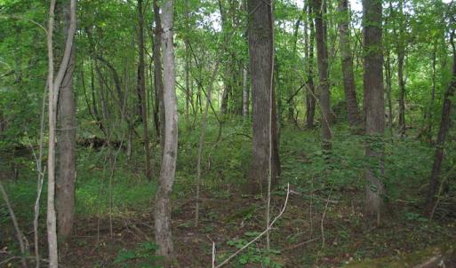 Photo of SOLD!  30.30 Acres of  Farm Land For Sale in Alamance County NC!