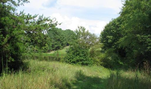 Photo of SOLD!  30.30 Acres of  Farm Land For Sale in Alamance County NC!