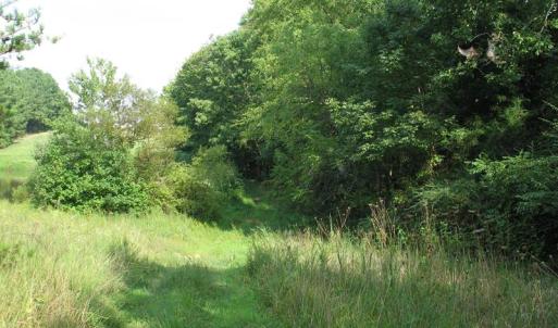 Photo of SOLD!  30.30 Acres of  Farm Land For Sale in Alamance County NC!