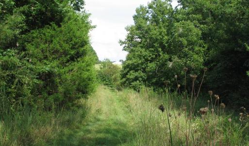Photo of SOLD!  30.30 Acres of  Farm Land For Sale in Alamance County NC!