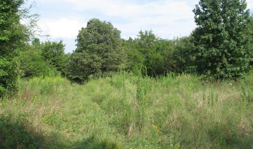 Photo of SOLD!  30.30 Acres of  Farm Land For Sale in Alamance County NC!