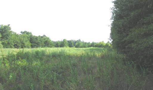 Photo of SOLD!  30.30 Acres of  Farm Land For Sale in Alamance County NC!