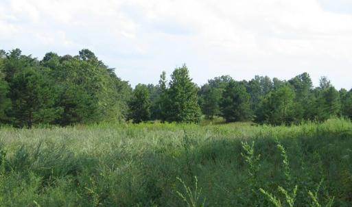 Photo of SOLD!  30.30 Acres of  Farm Land For Sale in Alamance County NC!