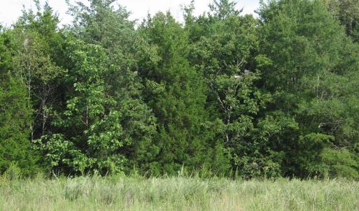 Photo of SOLD!  30.30 Acres of  Farm Land For Sale in Alamance County NC!