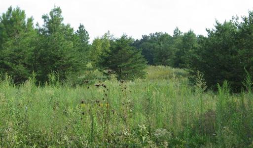 Photo of SOLD!  30.30 Acres of  Farm Land For Sale in Alamance County NC!