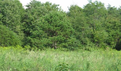 Photo of SOLD!  30.30 Acres of  Farm Land For Sale in Alamance County NC!