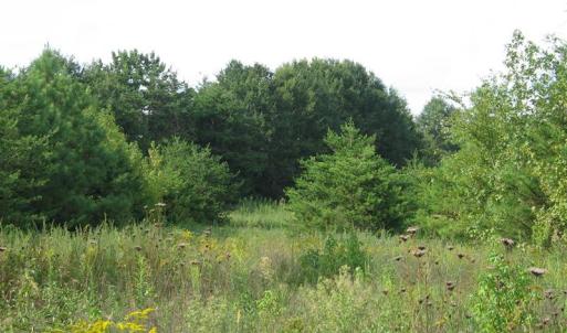 Photo of SOLD!  30.30 Acres of  Farm Land For Sale in Alamance County NC!