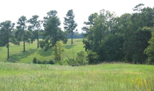 Photo of SOLD!  30.30 Acres of  Farm Land For Sale in Alamance County NC!