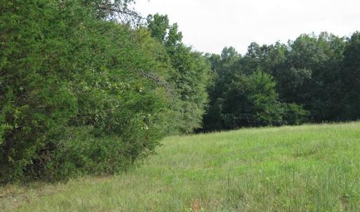 Photo of SOLD!  30.30 Acres of  Farm Land For Sale in Alamance County NC!