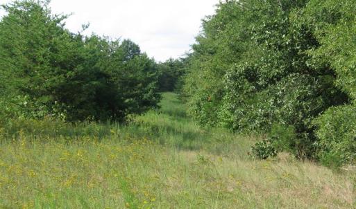 Photo of SOLD!  30.30 Acres of  Farm Land For Sale in Alamance County NC!