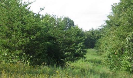 Photo of SOLD!  30.30 Acres of  Farm Land For Sale in Alamance County NC!