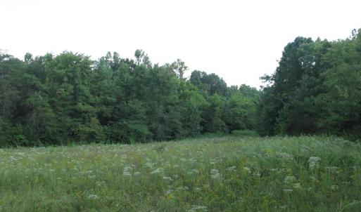 Photo of SOLD!  30.30 Acres of  Farm Land For Sale in Alamance County NC!