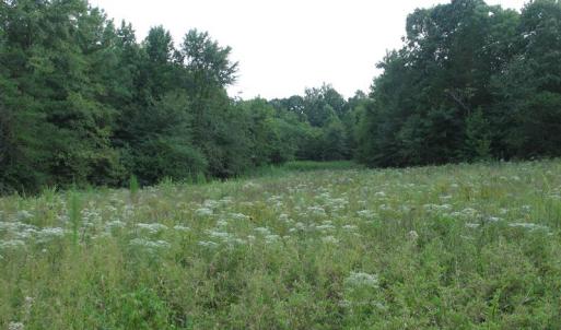 Photo of SOLD!  30.30 Acres of  Farm Land For Sale in Alamance County NC!
