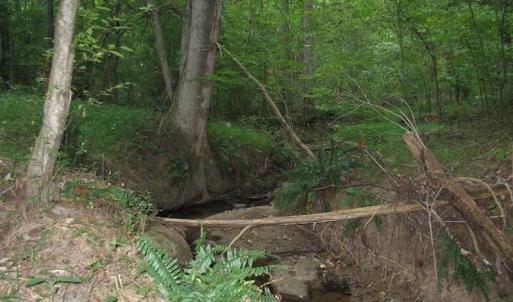 Photo of SOLD!  30.30 Acres of  Farm Land For Sale in Alamance County NC!