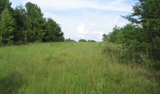 Photo of SOLD!  30.30 Acres of  Farm Land For Sale in Alamance County NC!