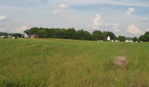 Photo of SOLD!  30.30 Acres of  Farm Land For Sale in Alamance County NC!