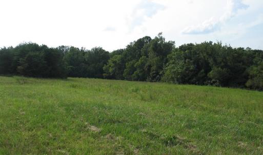Photo of SOLD!  30.30 Acres of  Farm Land For Sale in Alamance County NC!