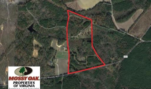 Photo of UNDER CONTRACT!  37 Acres of Hunting and Recreational Land For Sale in Brunswick County VA!