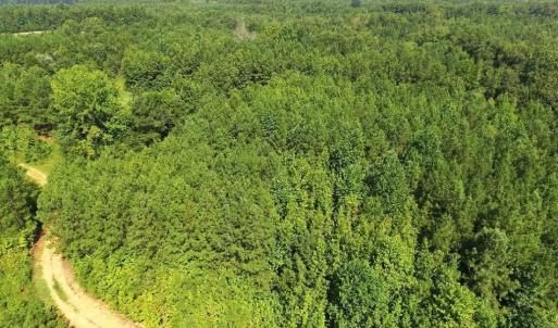 Photo of UNDER CONTRACT!  37 Acres of Hunting and Recreational Land For Sale in Brunswick County VA!