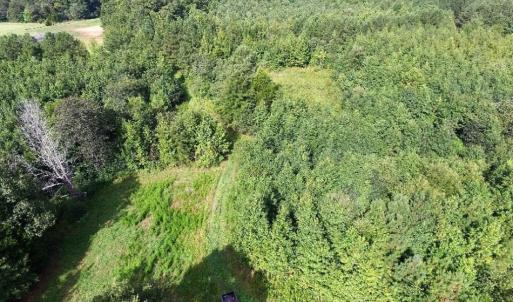 Photo of UNDER CONTRACT!  37 Acres of Hunting and Recreational Land For Sale in Brunswick County VA!