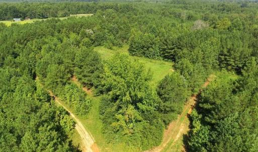 Photo of UNDER CONTRACT!  37 Acres of Hunting and Recreational Land For Sale in Brunswick County VA!