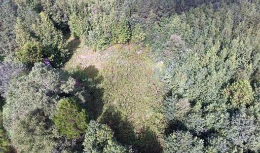 Photo of UNDER CONTRACT!  37 Acres of Hunting and Recreational Land For Sale in Brunswick County VA!