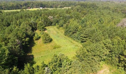 Photo of UNDER CONTRACT!  37 Acres of Hunting and Recreational Land For Sale in Brunswick County VA!