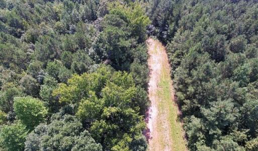 Photo of UNDER CONTRACT!  37 Acres of Hunting and Recreational Land For Sale in Brunswick County VA!