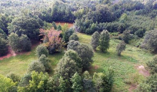Photo of UNDER CONTRACT!  37 Acres of Hunting and Recreational Land For Sale in Brunswick County VA!