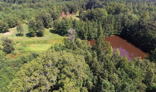 Photo of UNDER CONTRACT!  37 Acres of Hunting and Recreational Land For Sale in Brunswick County VA!