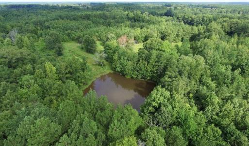 Photo of UNDER CONTRACT!  37 Acres of Hunting and Recreational Land For Sale in Brunswick County VA!