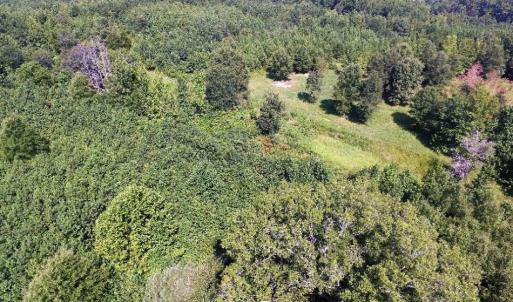 Photo of UNDER CONTRACT!  37 Acres of Hunting and Recreational Land For Sale in Brunswick County VA!