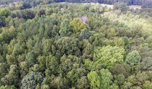 Photo of UNDER CONTRACT!  37 Acres of Hunting and Recreational Land For Sale in Brunswick County VA!