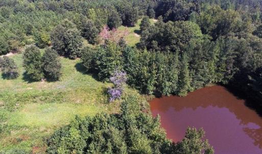 Photo of UNDER CONTRACT!  37 Acres of Hunting and Recreational Land For Sale in Brunswick County VA!