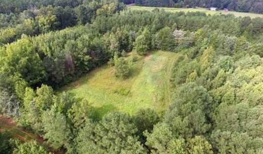 Photo of UNDER CONTRACT!  37 Acres of Hunting and Recreational Land For Sale in Brunswick County VA!