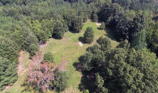 Photo of UNDER CONTRACT!  37 Acres of Hunting and Recreational Land For Sale in Brunswick County VA!