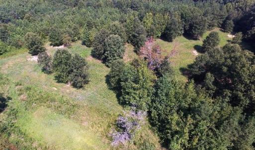 Photo of UNDER CONTRACT!  37 Acres of Hunting and Recreational Land For Sale in Brunswick County VA!