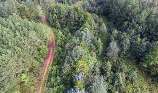 Photo of UNDER CONTRACT!  37 Acres of Hunting and Recreational Land For Sale in Brunswick County VA!