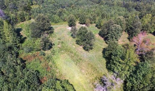Photo of UNDER CONTRACT!  37 Acres of Hunting and Recreational Land For Sale in Brunswick County VA!